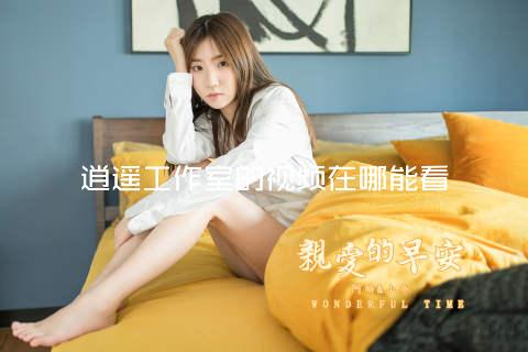 逍遥工作室的视频在哪能看